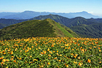 和賀岳 和賀岳