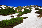 湯殿山