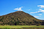 大岡山