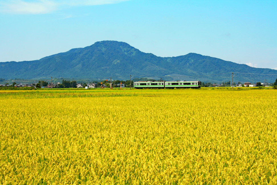 越後平野