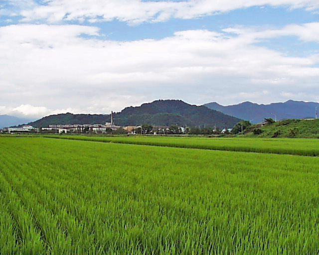 愛宕山