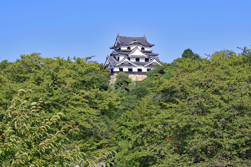 彦根城