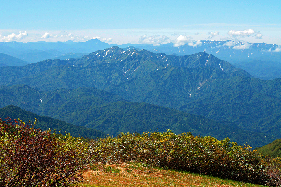 毛猛山