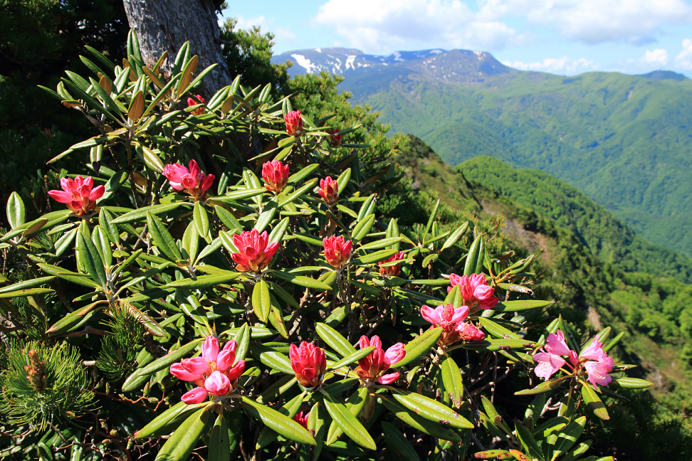 雁戸山
