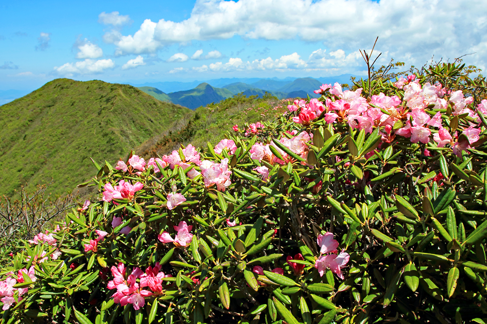雁戸山
