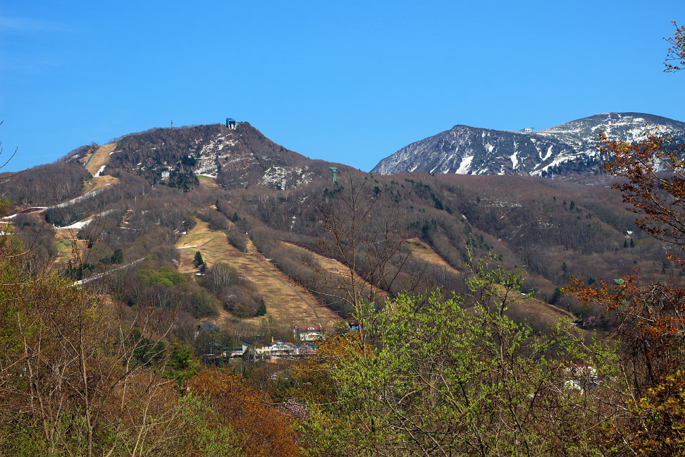 鳥兜山