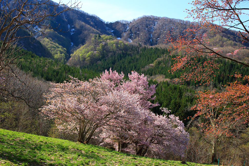 瀧山