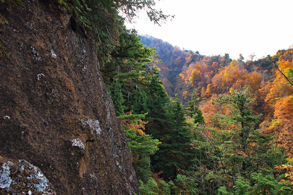 瀧山