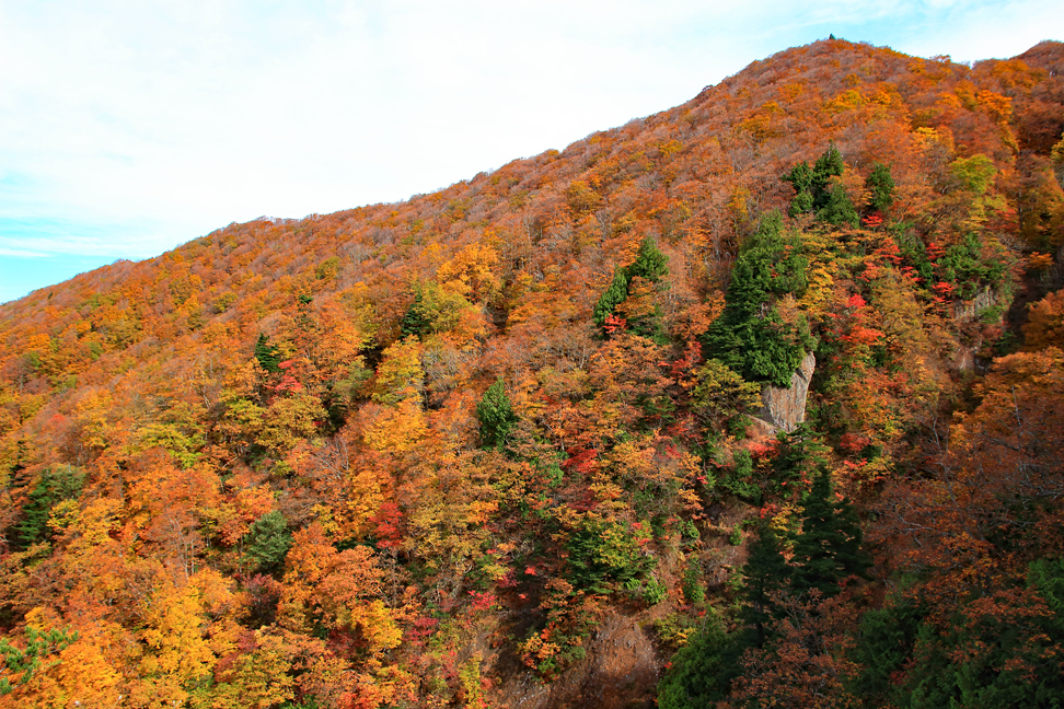 瀧山