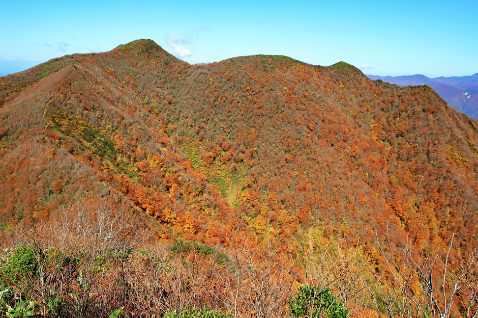 面白山