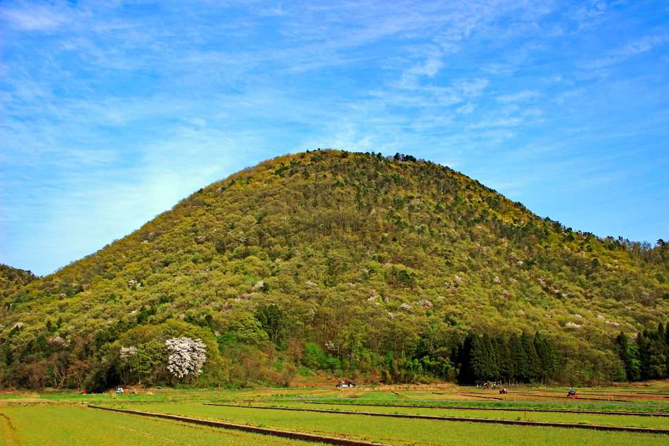 大岡山