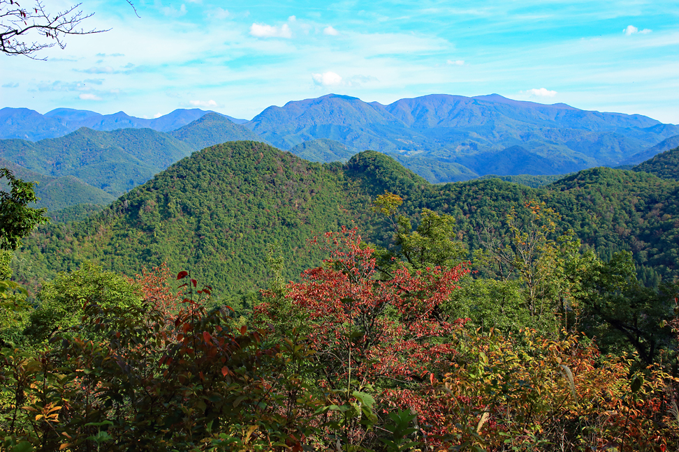 大岡山