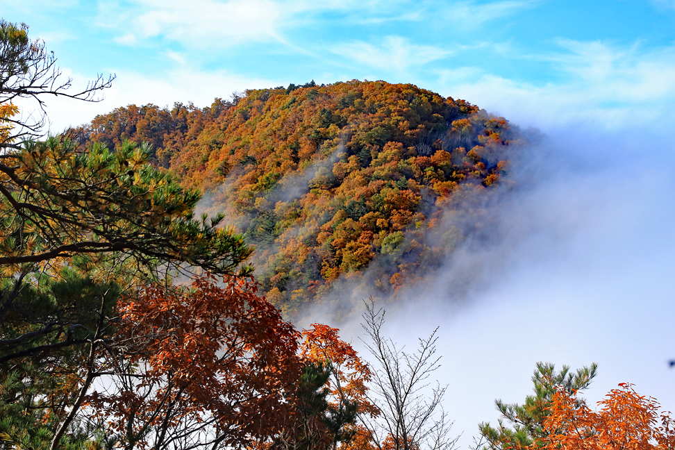 大岡山