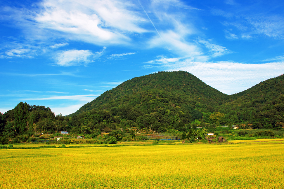 大岡山