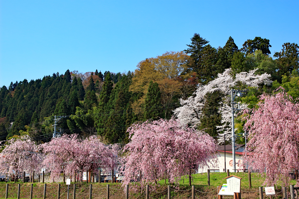城山