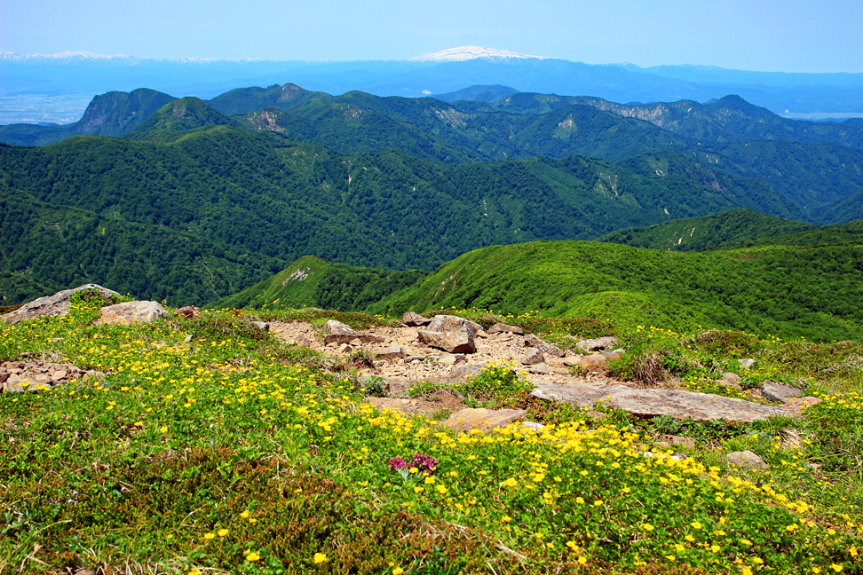 御所山