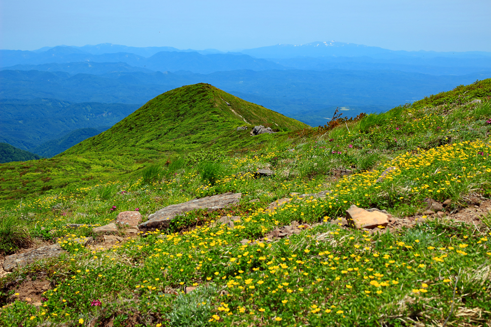 御所山