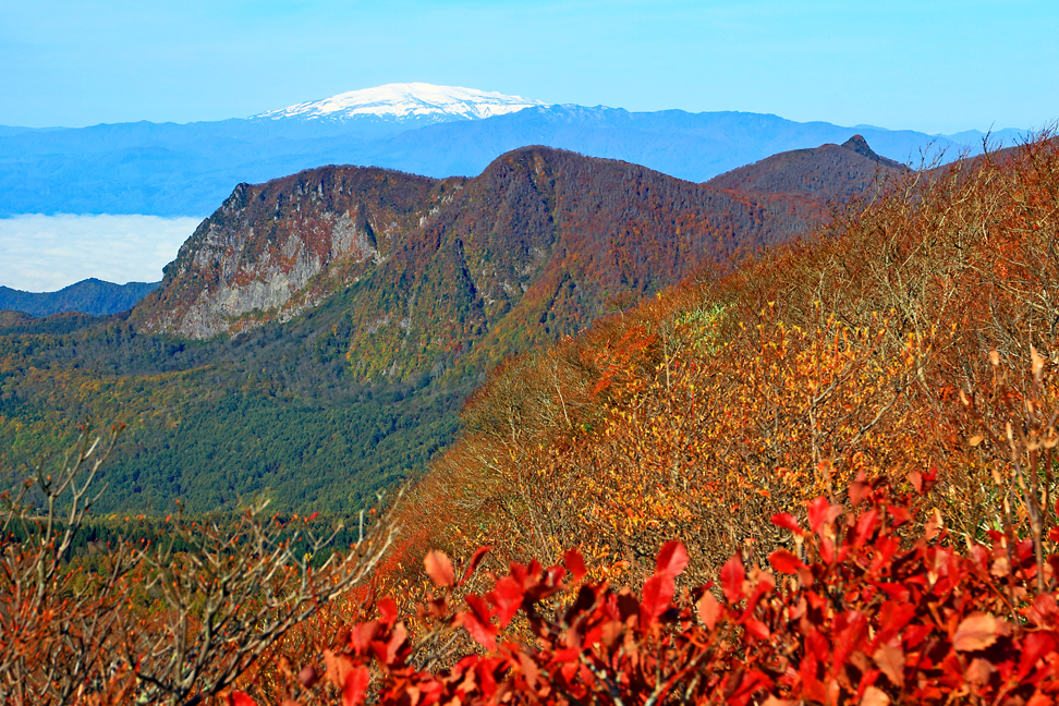 黒伏山