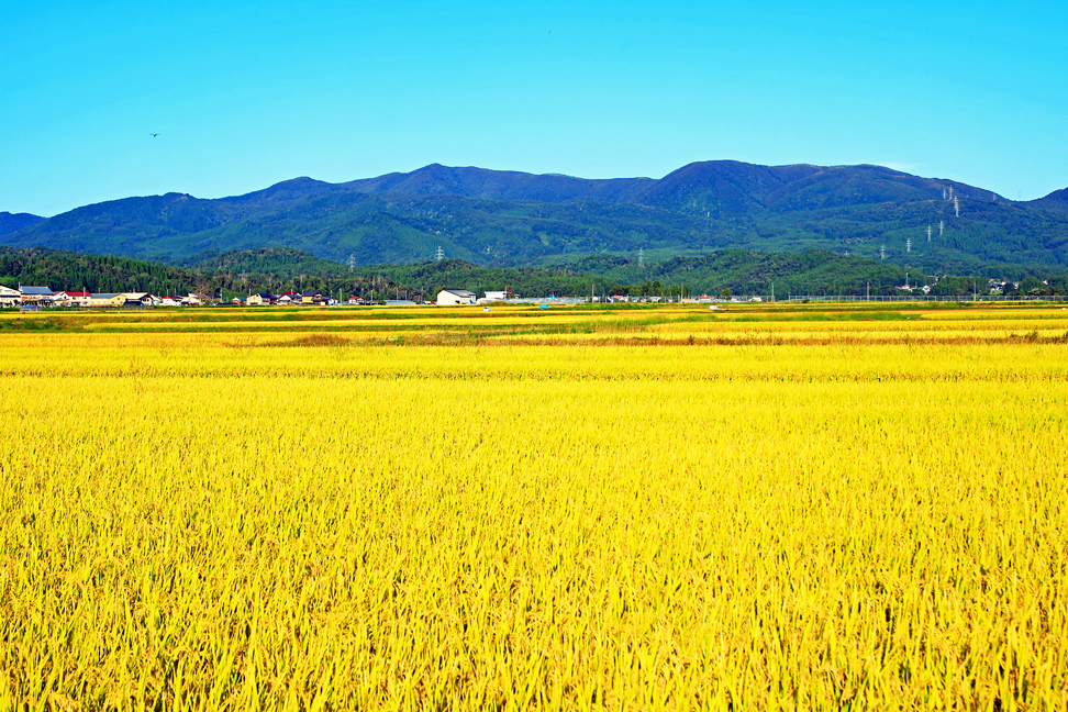 翁山