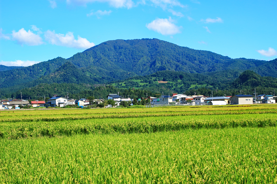 甑岳