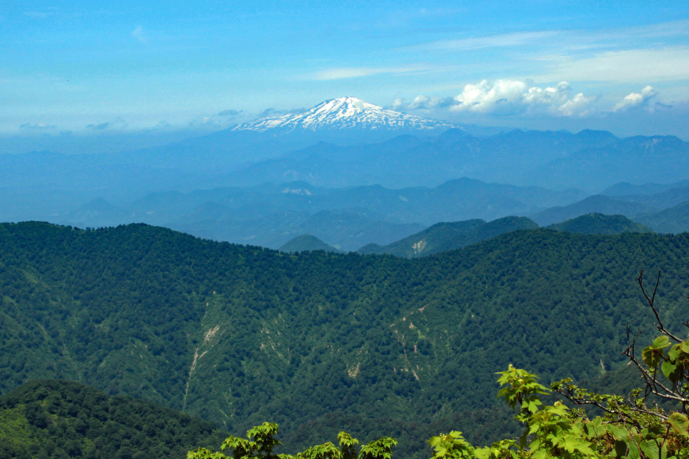 小又山