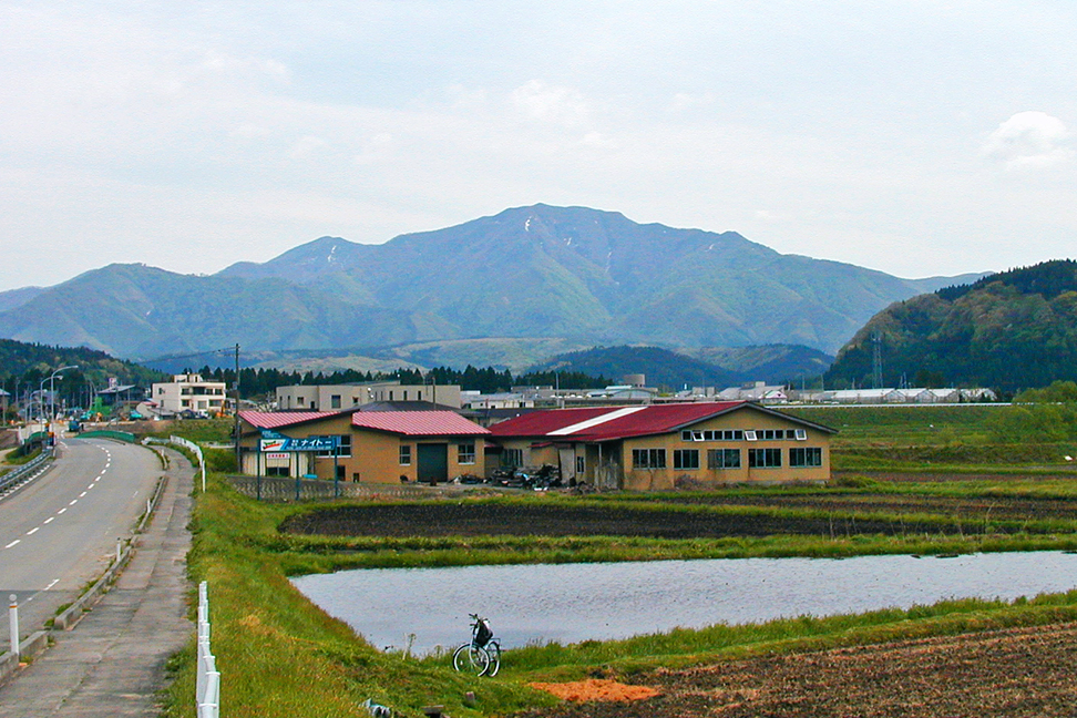 禿岳