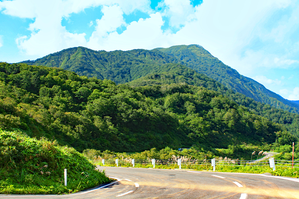 禿岳