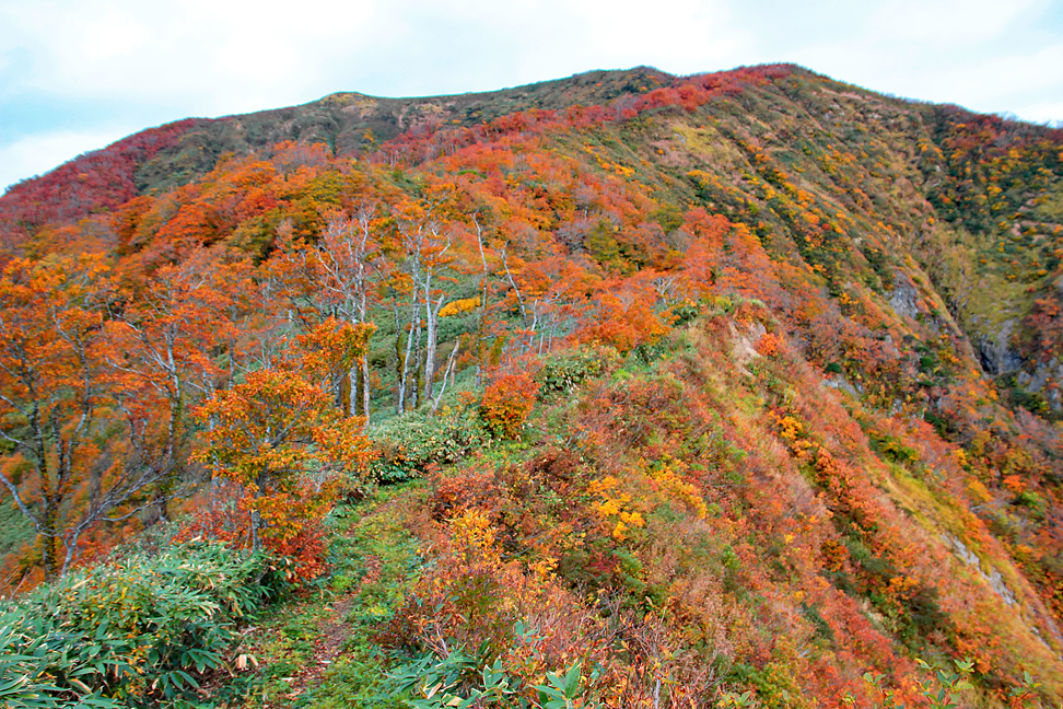 八森山