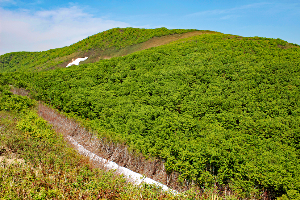 杢蔵山