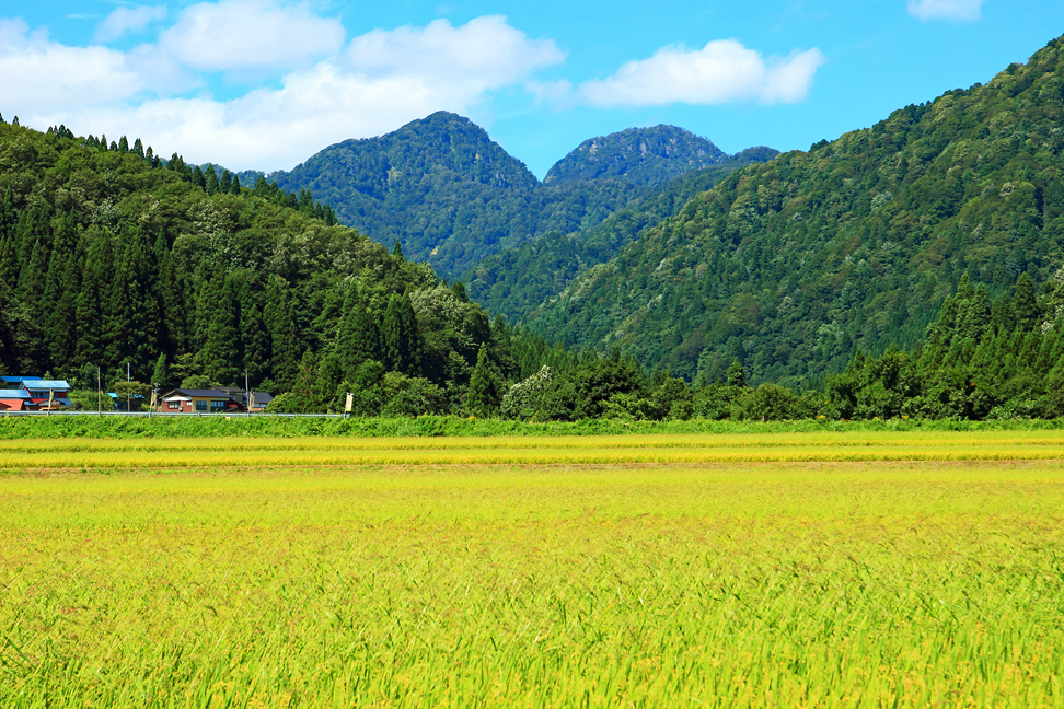 加無山