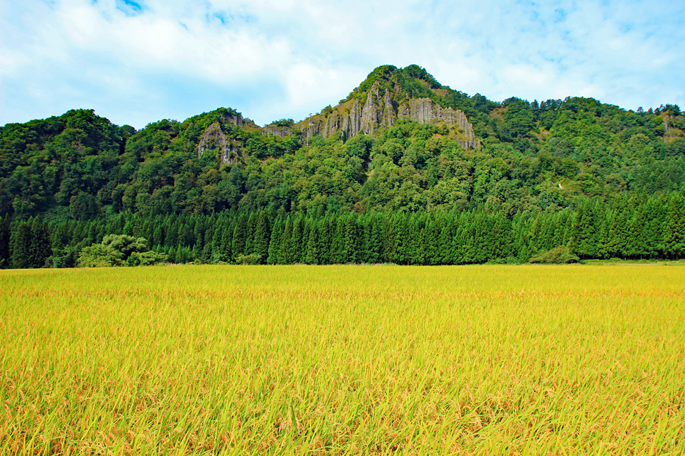 竜馬山