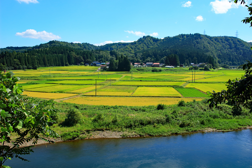 米太平山