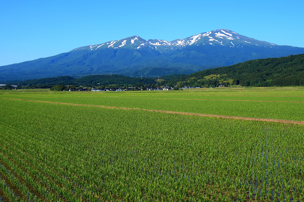 笙ヶ岳