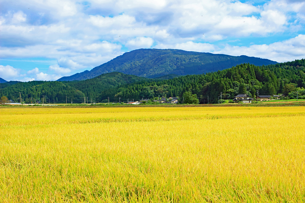 胎蔵山