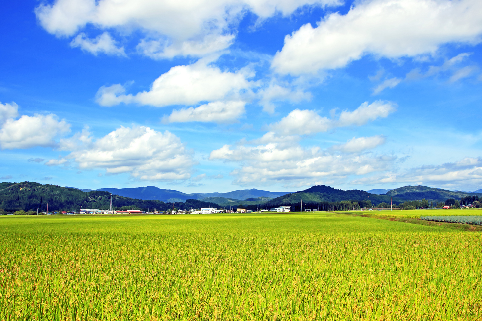 与蔵山