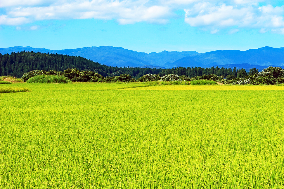 与蔵山