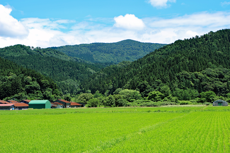 土湯山
