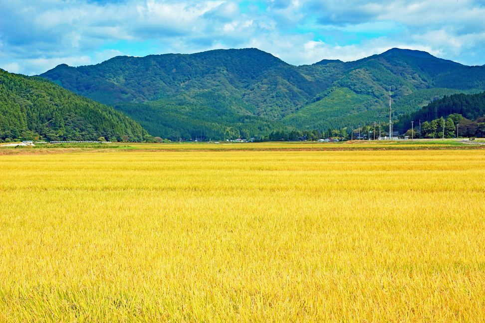 経ヶ蔵山