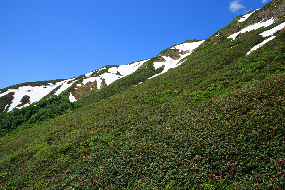 湯殿山
