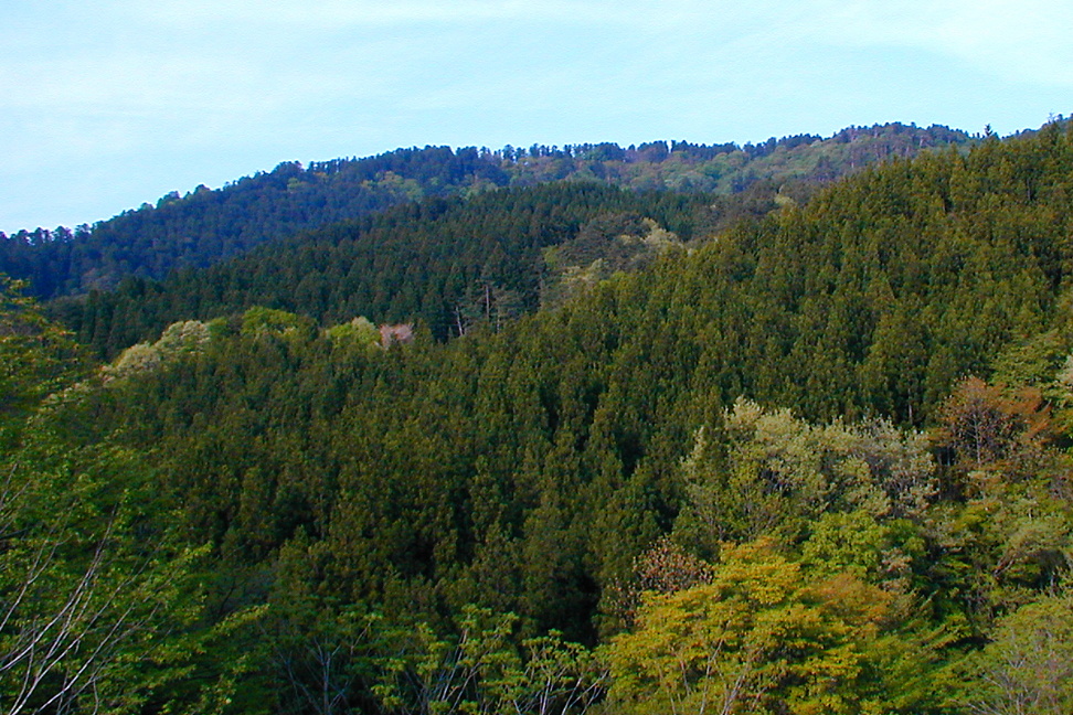 羽黒山