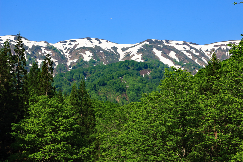 ［村山］葉山