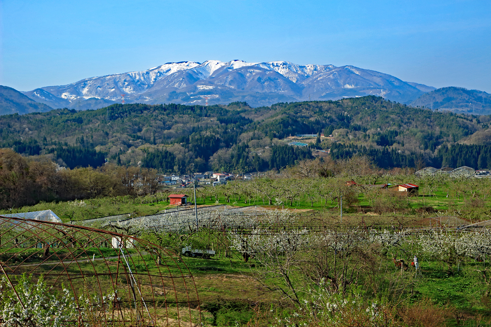 ［村山］葉山