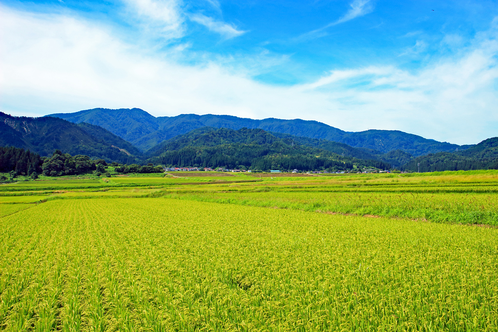 樽石山