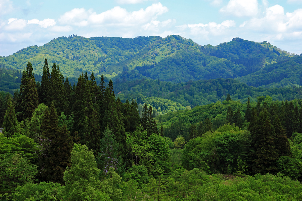 大高根山