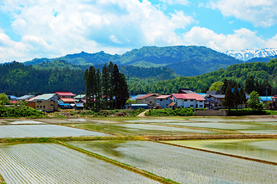 大高根山