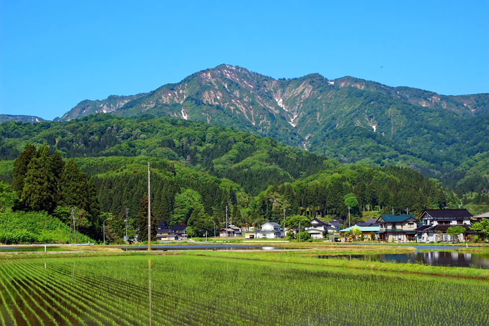 湯ノ沢岳