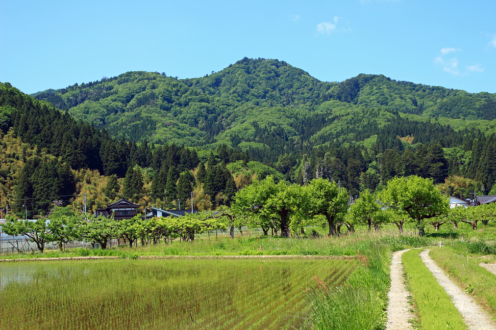 金峯山