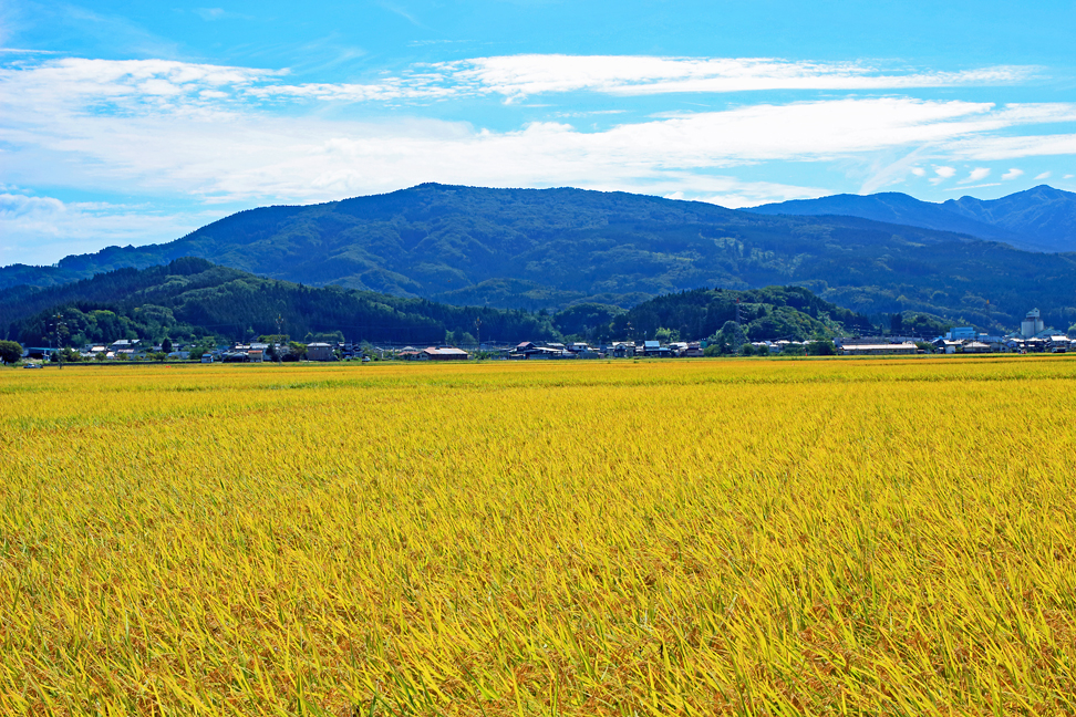 熊野長峰