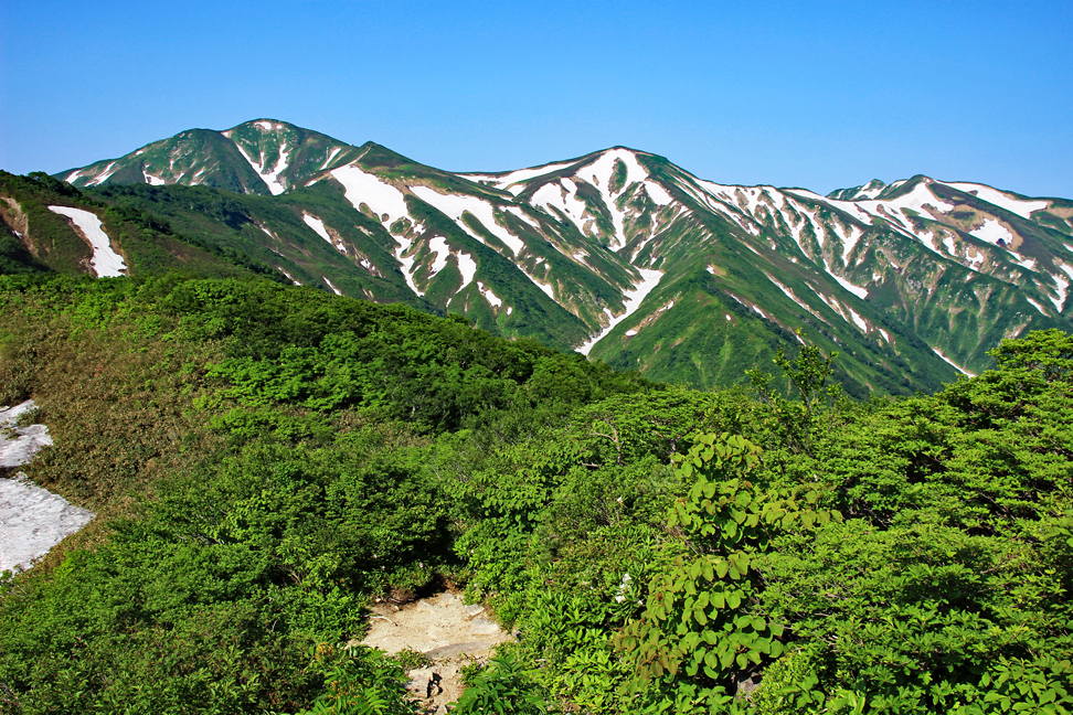 大朝日岳