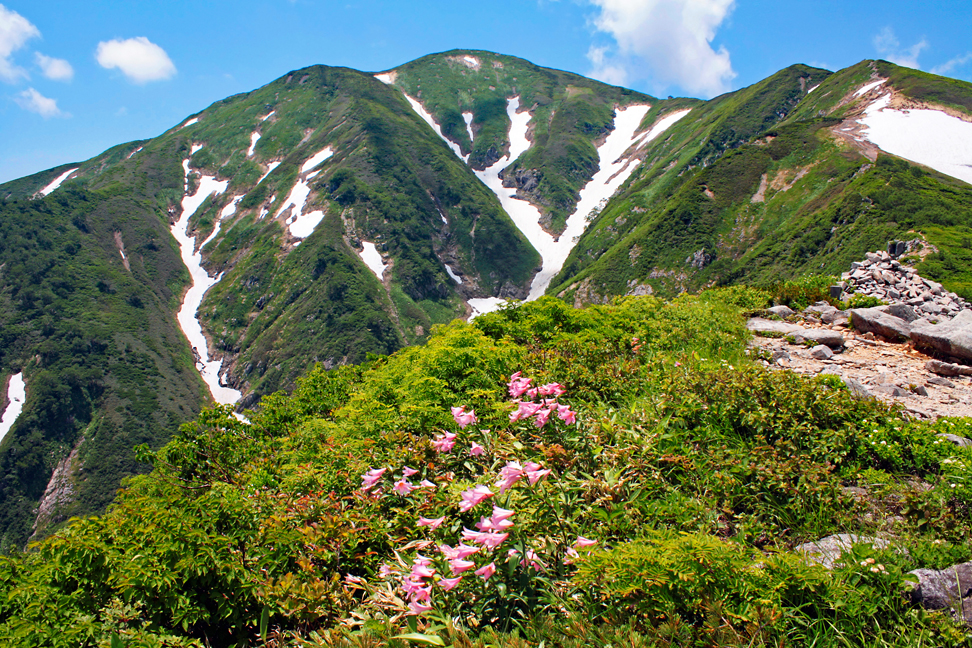 大朝日岳